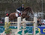Clayton Mr Darcy TosTour 2013- S5 7898 : Arezzo Equestrian Centre, Clayton Joseph, Mr Darcy, Toscana Tour 2013, foto di Stefano Secchi ©